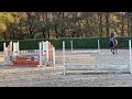 Show jumping horse Super brave springmerrie