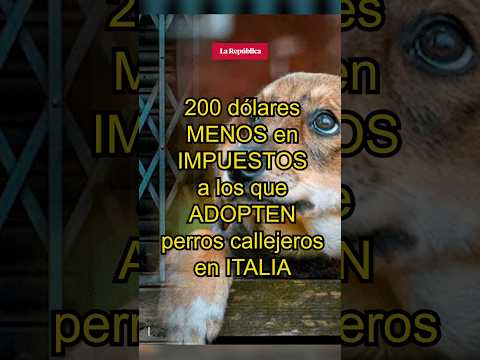 200 dólares MENOS en IMPUESTOS a los que ADOPTEN perros callejeros en ITALIA #shorts