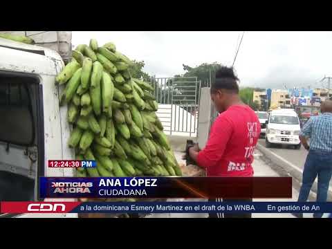 Plátanos, yuca y ajo entre productos que han bajado de precio