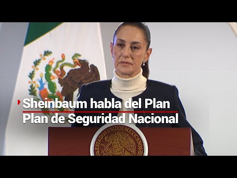 Claudia Sheinbaum presenta estrategia nacional de seguridad; cuatro ejes para combatir el crimen