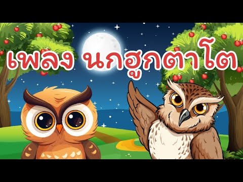 เพลงนกฮูกตาโต|Familyholida