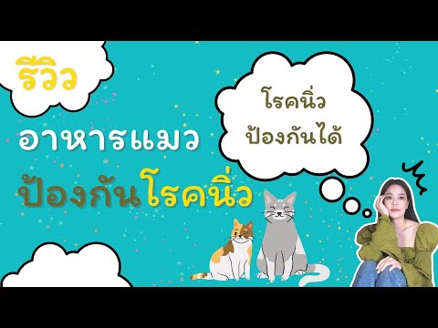 รีวิวอาหารแมว🐱ป้องกันโรคนิ่วโ