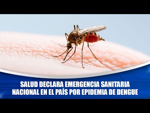 Salud declara Emergencia Sanitaria Nacional en el país por epidemia de dengue