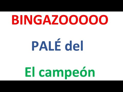 BINGAZOOOOO PALÉ PALÉ, EL CAMPEÓN DE LOS NÚMEROS