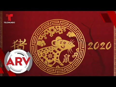 Año de la rata en horóscopo chino: Experta revela sus profecías para el 2020 | Telemundo