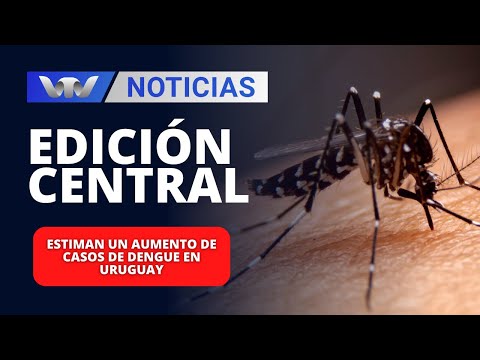 Edición Central 14/02 | Estiman un aumento de casos de dengue en Uruguay