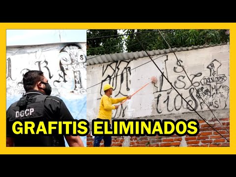 Continua plan de borrado de grafitis a nivel nacional | USA insiste en derechos humanos