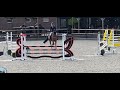 حصان القفز Talentvol 6 jarig springpaard!