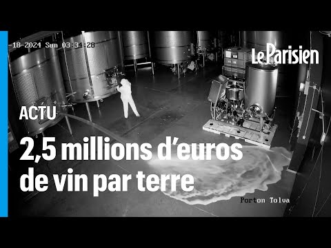 Espagne : 2,5 millions d'euros de vin déversés au sol dans un acte de vandalisme