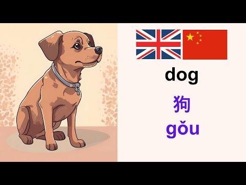 LearnMandarin学习英语:Dog狗(En