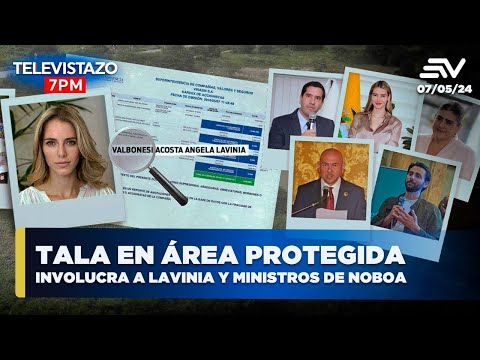 Tala de manglar en a?rea protegida involucra a Lavinia Valbonesi y ministros de Noboa | Televistazo