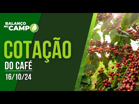 COTAÇÃO DO CAFÉ - 16/10/2024