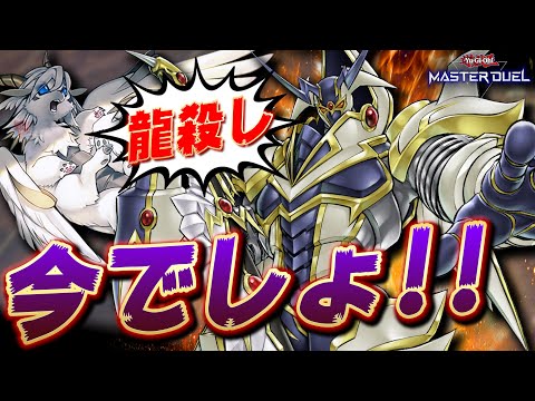 【天盃メタ】実は今が過去一アツいと言われているドラゴン認定デッキ『バスターブレイダー』【遊戯王マスターデュエル】【Yu-Gi-Oh! Master Duel】