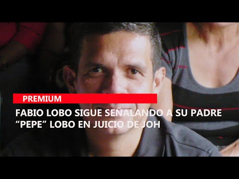 Fabio Lobo sigue señalando a su padre “Pepe” Lobo en Juicio de JOH