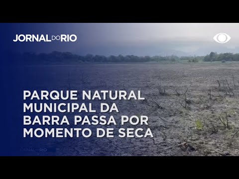 Desrespeito com a fauna e a flora do Parque Natural Municipal da Barra