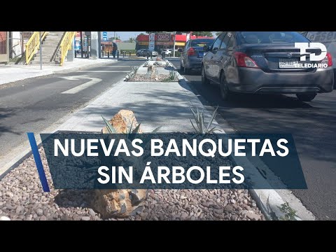 Habilitan nuevas banquetas pero sin árboles en Monterrey