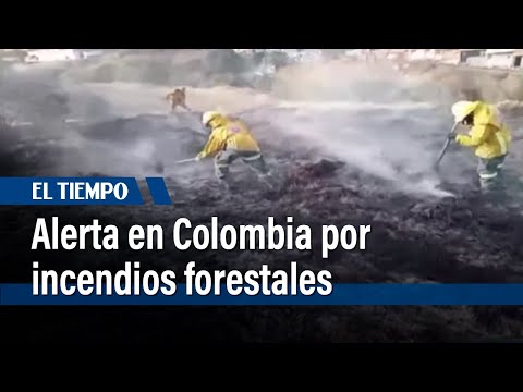 En las últimas horas, se reportaron dos nuevos incendios en Bogotá | El Tiempo