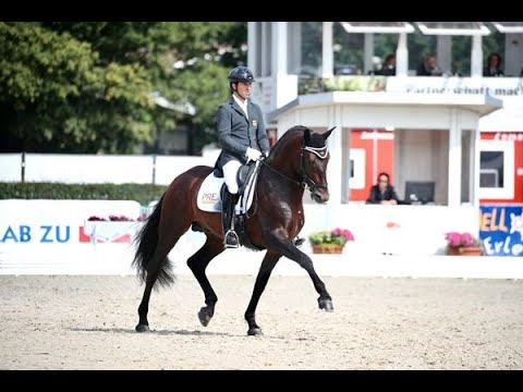 Fuego TG – Small Final 6 años - Cpto. del Mundo de Caballos Jóvenes 2021 - Equipo PRE