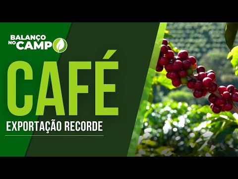 BRASIL EXPORTA RECORDE DE 4,5 MI DE SACAS DE CAFÉ EM SETEMBRO