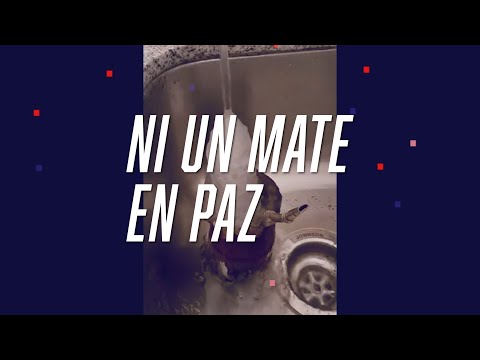 Ni un MATE en PAZ - FlashChat