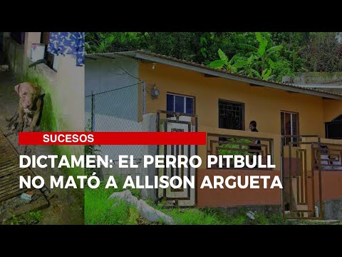 Dictamen: el perro pitbull no mató a Allison Argueta