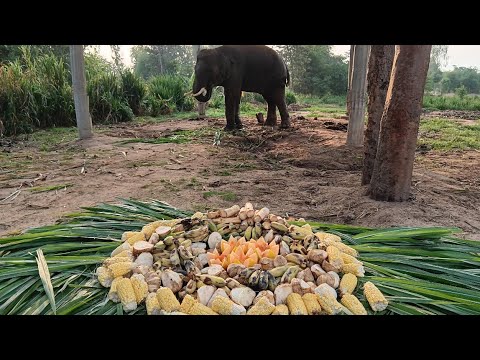 ต้อนรับชื่อใหม่พลายแสนล้านขอบค