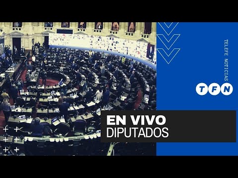 EN VIVO -  DIPUTADOS ANALIZA EL PROYECTO DE LEY DE ZONAS FRÍAS