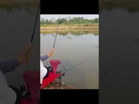 รั่งจนเป็นเรื่องfishingตกปล