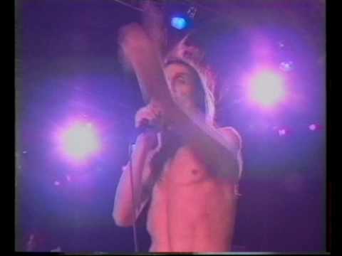 Iggy Pop Tickets Tour Dates Amp Concerts 2021 Amp 2020 Songkick