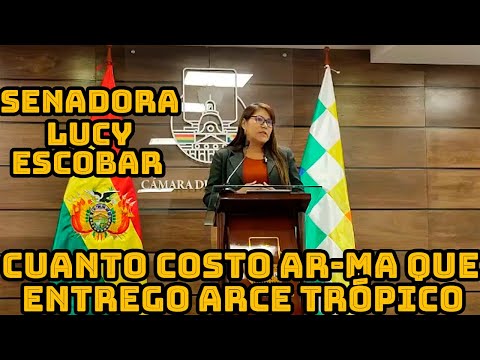 SENADORA LUCY ESCOBAR PIDE INFORME MINISTERIO GOBIERNO DE DONDE SACO PLATA PARA COMPRAR ARM4S..