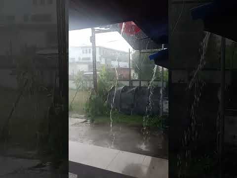 ฝนตก