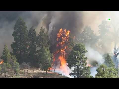 300 efectivos terrestres y 10 aéreos trabajan en dos grandes frentes del incendio forestal