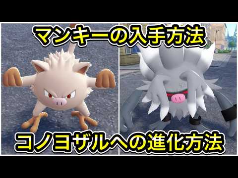 【ポケモンZA】マンキーの入手方法!コノヨザルへの進化方法!