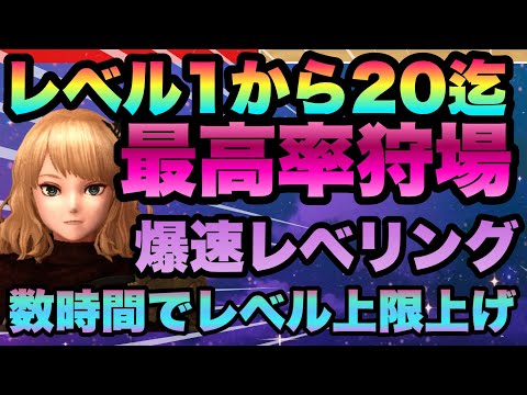 【WIZ ダフネ】最効率レベリング数時間でレベル２０も可能!!!超最強狩り場　転職　新獲得キャラ　対策魔法使い育成解決!!!　Wizardry Variants Daphne