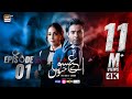 Aye Ishq e Junoon Episode 1  Ushna Shah  Sheheryar Munawar  11th Nov 2024  ARY Digital