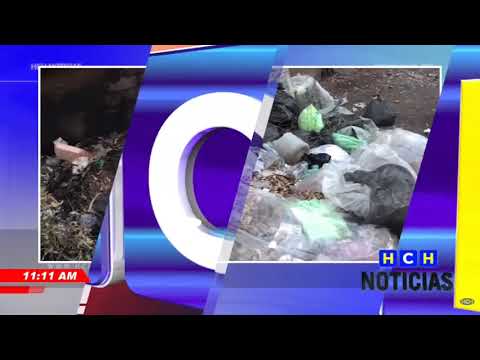 Pobladores denuncian malos olores producto de un derrame de aguas negras en Choluteca