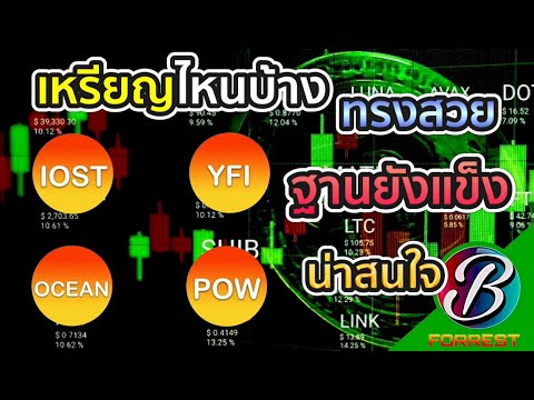 lEP.110l10-04-65lวิเคราะห