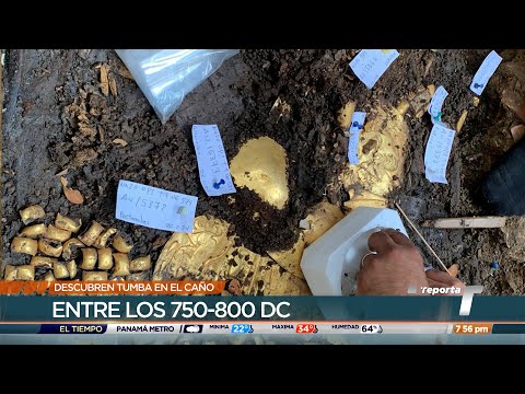 Descubren importante tumba con ajuar de oro en Parque Arqueológico El Caño