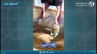 سيدة تتحدى افاعي