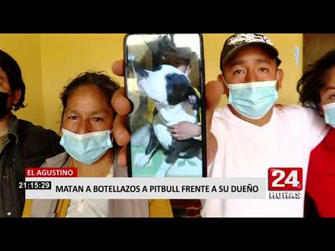 El Agustino: denuncian a tres vecinos por matar a botellazos y cuchillazos a perro pitbull