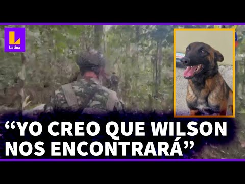 Colombia: Encontraron a los niños, pero perro rescatista Wilson aún sigue perdido en la selva