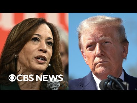 Harris chats with Cheney, Trump tours North Carolina Helene damage