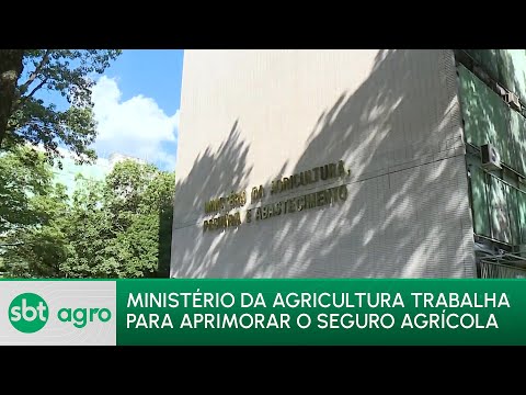 SBT Agro 22/01/24: Ministério da Agricultura busca aprimorar o seguro agrícola