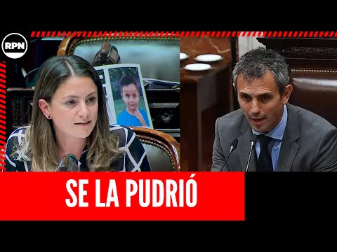 Vanesa Siley la pudrió toda en Diputados: Esta votación está FLOJA DE PAPELES