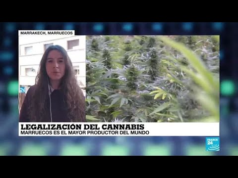 La vuelta al mundo: Marruecos, México y EE. UU. avanzan en despenalizar el cannabis
