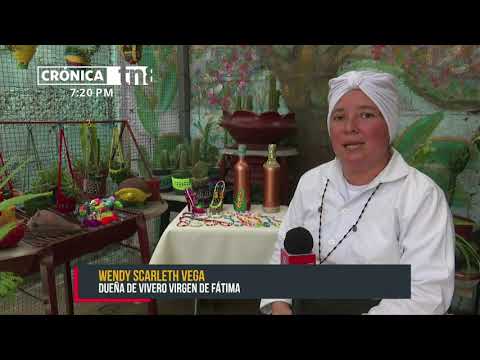Vivero Virgen de Fátima: amplia variedad de plantas, suculentas y cactus - Nicaragua
