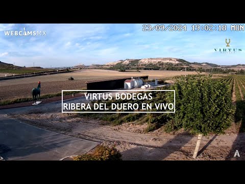 Virtus Bodegas, Ribera del Duero