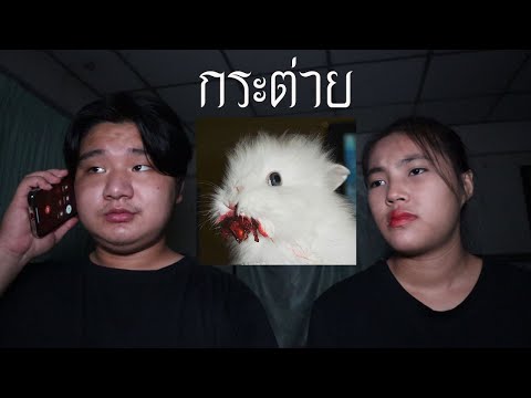 พวกเราซื้อ-กระต่าย-มาจาก-Dark- พวกเราซื้อ-กระต่าย-มาจาก-Dark-