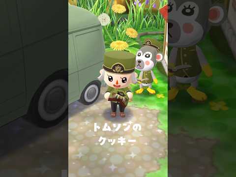 またまたベルクッキーが来たよ🥠9/4 #ポケ森 #acpc