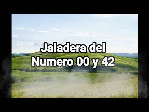 Jaladera del numero 00 y 42